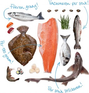 Seafood Centre Visgroothandel